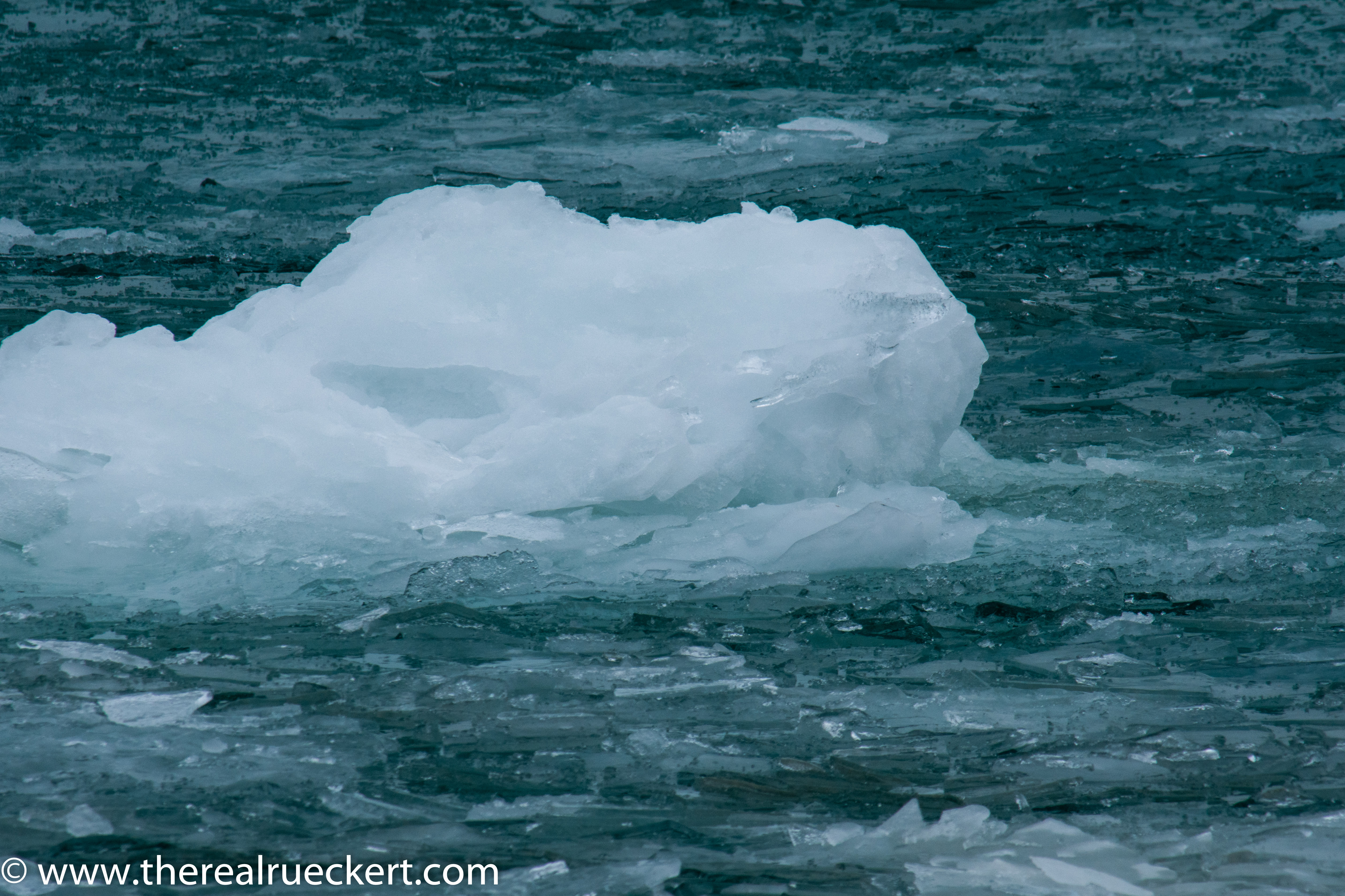 Photography by Christopher Rueckert | MontroseHarborIce-8